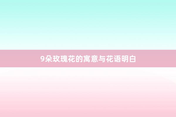 9朵玫瑰花的寓意与花语明白