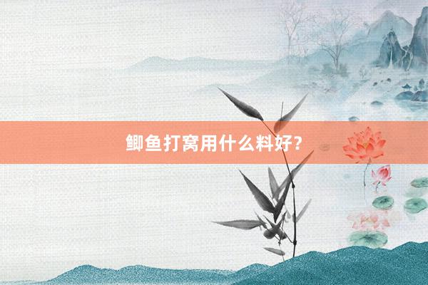 鲫鱼打窝用什么料好？